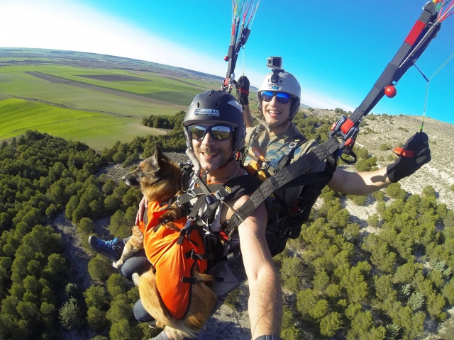  Trip with the dog 